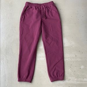 Burgundy Fabletics Joggers